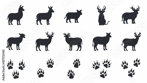 Collection of Deer and Animal Paw Print Silhouettes.
