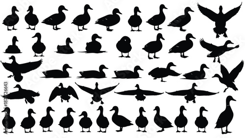 collection of black duck silhouettes