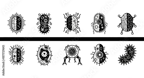 Collection of various bacteria cells.