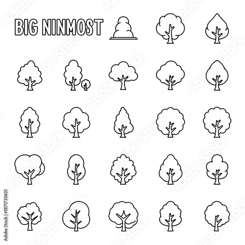 A high-resolution overhead shot of a fresh gourmet salad featuring vibrant greens and seasonal vegetables served in a minimalist ceramic bowl on a rustic wooden tabletop