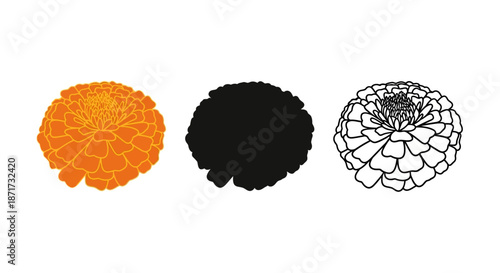 Minimalist illustration set of marigold silhouettes, Symbolizing warmth and celebration, flat vector design illustration.