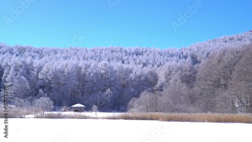 聖高原　中牧湖の霧氷