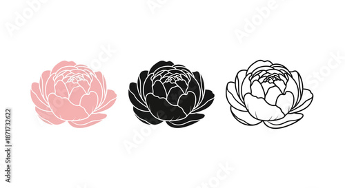 Minimalist illustration set of peony silhouettes, Symbolizing richness and delicacy, flat vector design illustration.