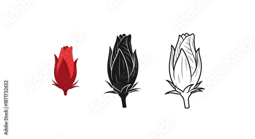 Minimalist illustration set of hibiscus bud silhouettes, Symbolizing potential and minimal beauty, flat vector design illustration.