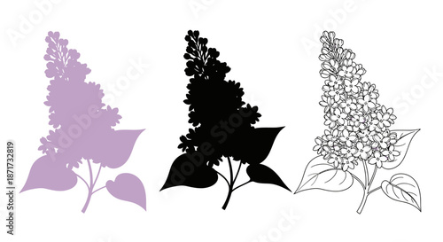 Minimalist illustration set of lilac silhouettes, Symbolizing gentle fragrance and calm, flat vector design illustration.