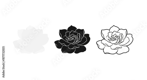 Minimalist illustration set of gardenia silhouettes, Symbolizing beauty and fragrance, flat vector design illustration.