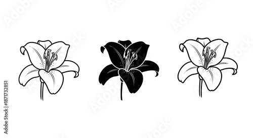 Minimalist illustration set of lily silhouettes, Symbolizing purity and grace, flat vector design illustration.