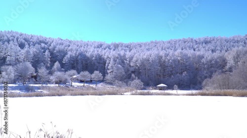 聖高原　中牧湖の霧氷
