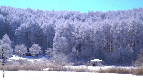 聖高原　中牧湖の霧氷
