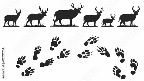 Deer and Animal Tracks Silhouettes Collection.