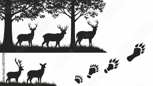 Deer and Bear Footprints Silhouette Nature Scene.