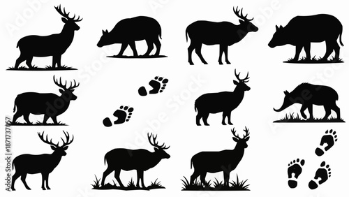 Deer and Boar Silhouettes with Footprints Collection.