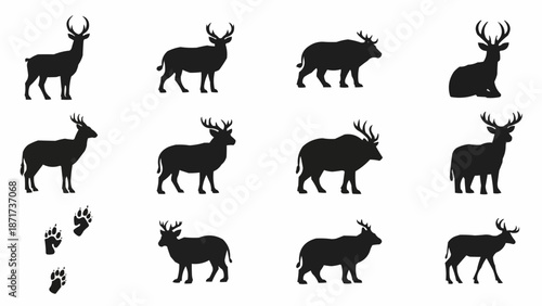 Deer and Elk Silhouettes with Footprints.