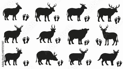 Deer and Elk Silhouettes with Footprints.