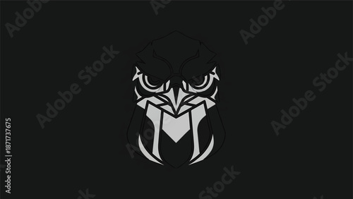 Intricate tribal mask design with sharp edges and symmetrical patterns, dark background.