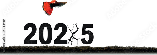Betta Fish Jumping Over Cracked Number 2025 in Black Soil on White Background