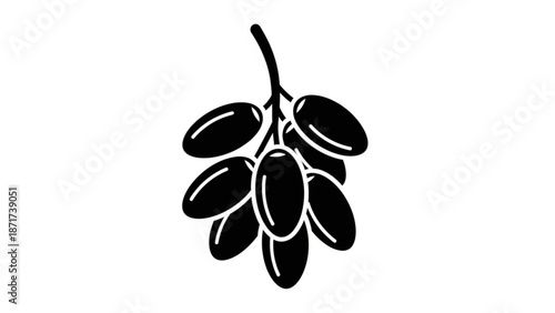 A black and white illustration of a cluster of olives on a branch with a clean white background for design and graphic use with food and fruit