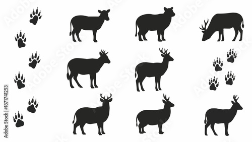 Deer and Sheep Silhouettes with Paw Prints.