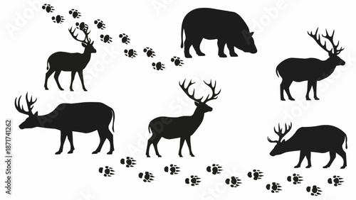 Deer and Wild Boar Silhouettes with Footprints.