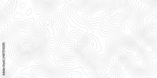 Abstract topography pattern seamless lines sea map modern design white background. Abstract digital topographic contour map concept space geometric strip grid line. Natural discovery of maps.