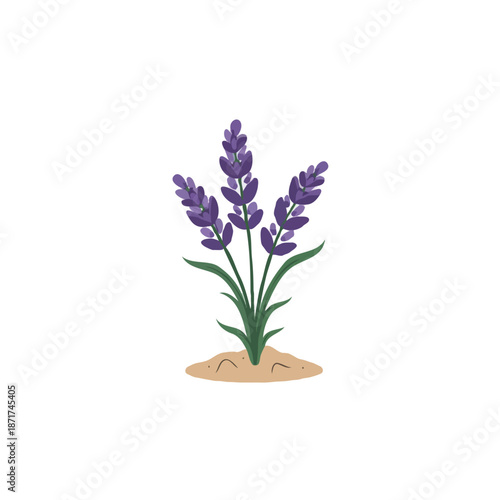 design color icon 10