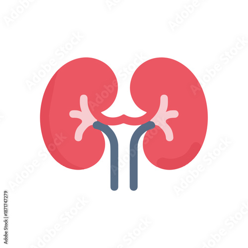 Kidney Icon, Human Organ, Medical Healthcare Illustration