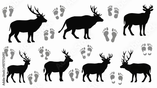 Deer Silhouettes and Footprints Collection.