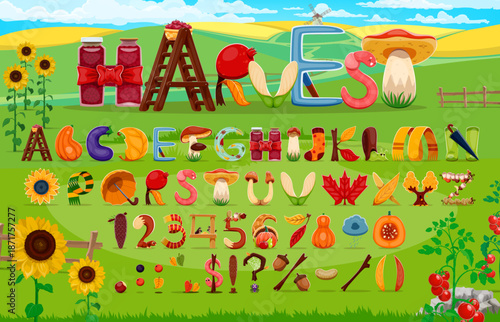 Cartoon autumn fall font, thanksgiving harvest typeface letters. Vector abc made of fruits, vegetables, leaves, mushrooms, boots, scarves, socks and garden tools. Seasonal typeset on nature background