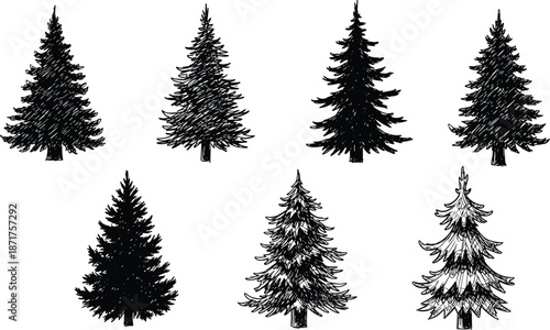 Evergreen tree silhouettes, coniferous pine icons, black vector trees, winter forest design, seasonal nature symbols, holiday decoration, cad drawing flat vector illustration