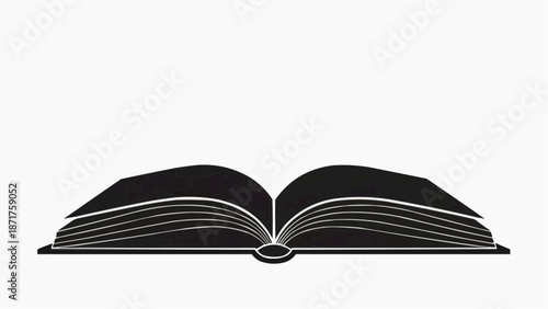 open book on white background