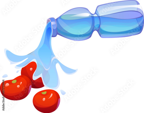 Water is pouring from a blue bottle onto fresh red tomatoes with splash and droplets. Vector cooking process scene showing rinsing step with clear liquid flow and glossy vegetables on white background