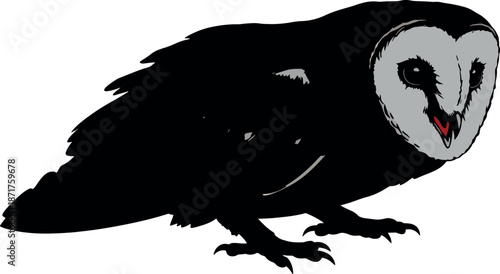 Cartoon Black and White Owl Illustration on White Background
