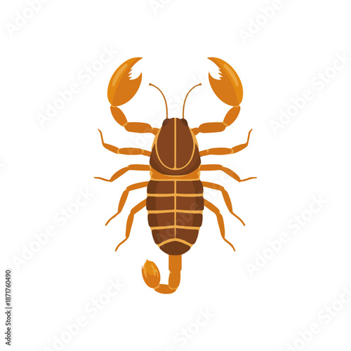 Flat Insect Illustration Scorpion Icon on White Background