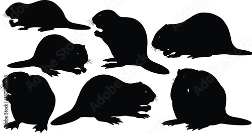 Flat vector illustration of beaver silhouettes in various poses, nature wildlife icons, river mammal shapes, aquatic animal graphics, forest fauna design, wild animal symbols