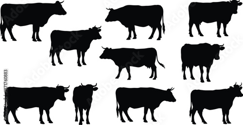 Flat vector illustration of black cow silhouettes, farm animals, livestock graphics, rural nature design, agricultural icon set, cattle shapes collection, black and white vector art.