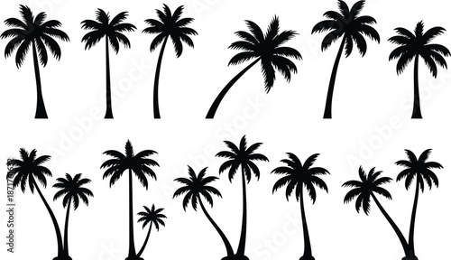 Flat vector illustration of tropical palm tree silhouettes, island plants, beach vegetation, tropical nature icons, black silhouette collection, summer scenery designs
