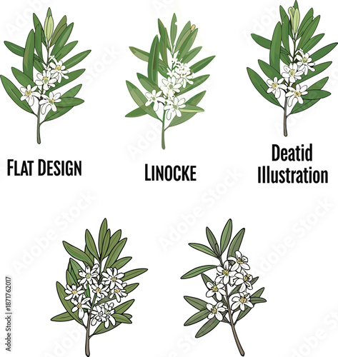 Flowering plant illustration styles, botanical art variations, floral design techniques, nature inspired artwork, creative plant drawings, detailed and minimal, flat vector illustration