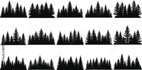 forest, tree, pine, conifer, silhouette, nature, blackwhite, vector, illustration, drawing, landscape, evergreen, cluster, graphic, design