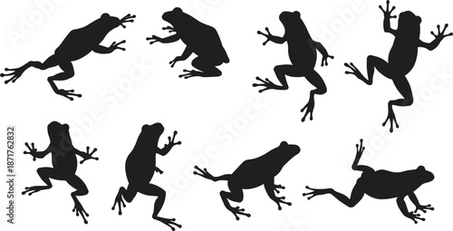 Frog silhouette set, black amphibian vector shapes, jumping and climbing frogs, wildlife clipart, nature animal silhouette collection