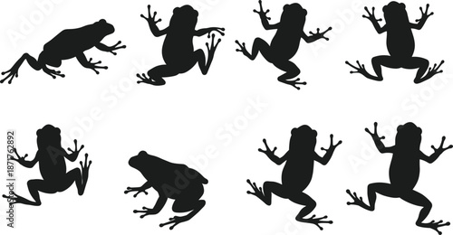 Frog silhouette set, jumping and crawling frog vector illustrations, amphibian black shapes, animal clipart, nature wildlife silhouette collection