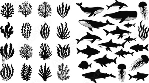 Sea animals and coral silhouettes set, vector marine life collection, whale, shark, dolphin, jellyfish, underwater plants, ocean reef, flat illustration