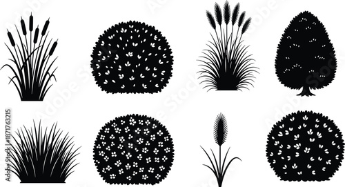 Bushes and grass silhouettes set, vector black plant collection, isolated nature elements, garden landscape design, shrubs, reeds, flat illustration