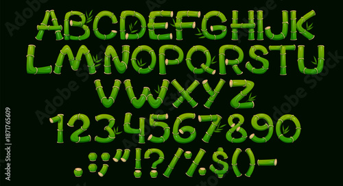 Bamboo font, jungle forest typeface, plant type, eco english alphabet vector typography. Cartoon asian tropical nature font letters and numbers set of bamboo sticks, wood stems and green leaves