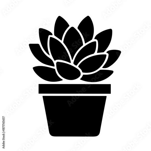 illustration ornamental plants with lush leaves vector