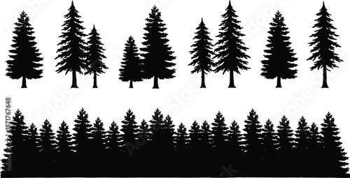 Pine forest silhouette set with tall evergreen trees and dense woodland border natural black landscape elements