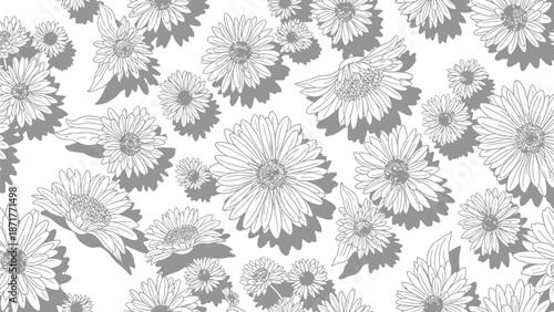 Elegant floral pattern with daisies on white background