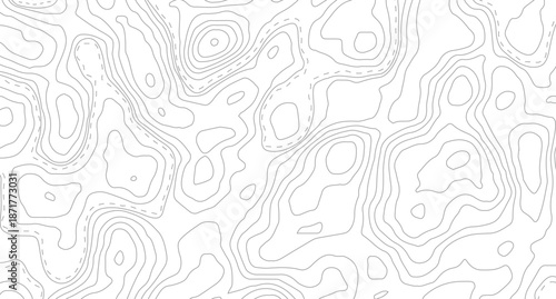 Topography background. Vector banner. Topography map background. Topographic map background. geographic line map with elevation assignments. 