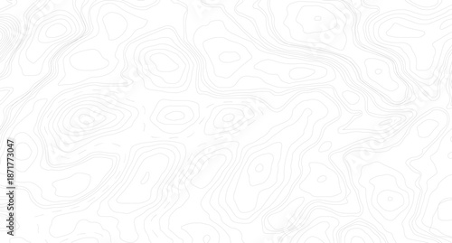 Vector geographic contour map. Background of the topographic map. Topographic map lines, contour background.