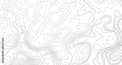 Topography background. Vector banner. Topography map background. Vector geographic contour map. Background of the topographic map.