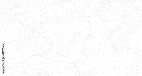 Topography background. Vector banner. Topography map background. Vector geographic contour map. Background of the topographic map.